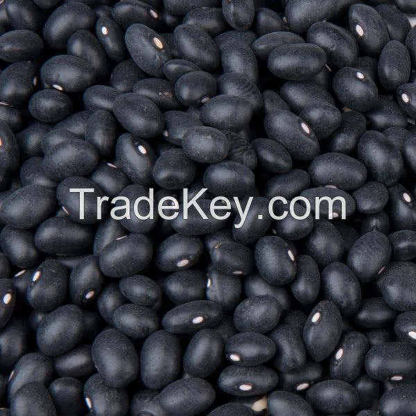 white kidney beans / Red Kidney Beans / black Kidney Beans 