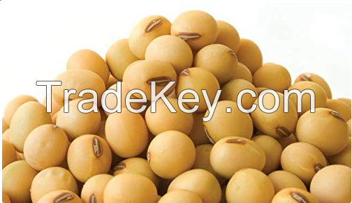 Soybeans | High Quality Agricultural Products