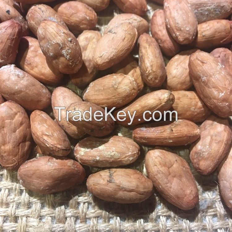 Natural Cacao Powder, Cacao Beans, Cacao Nibs, Cacao Butter High Grade