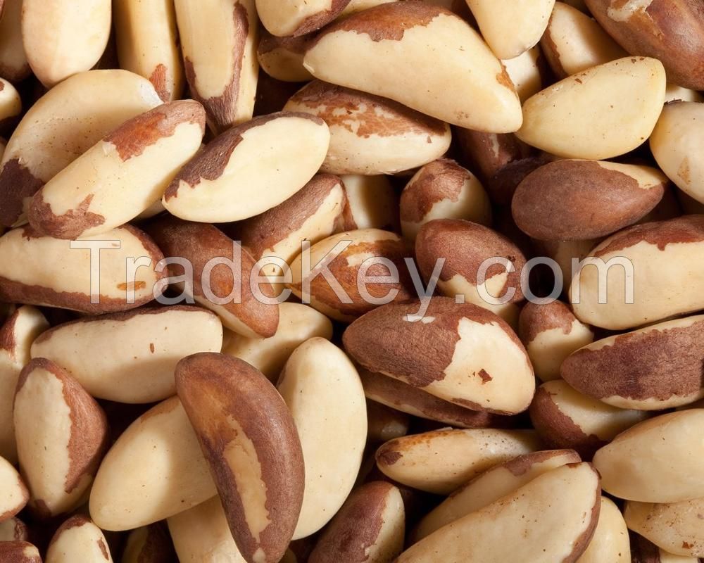 Dried/Raw/Roasted Brazil Nuts 