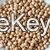 high quality dried Chickpeas/Vigna Beans