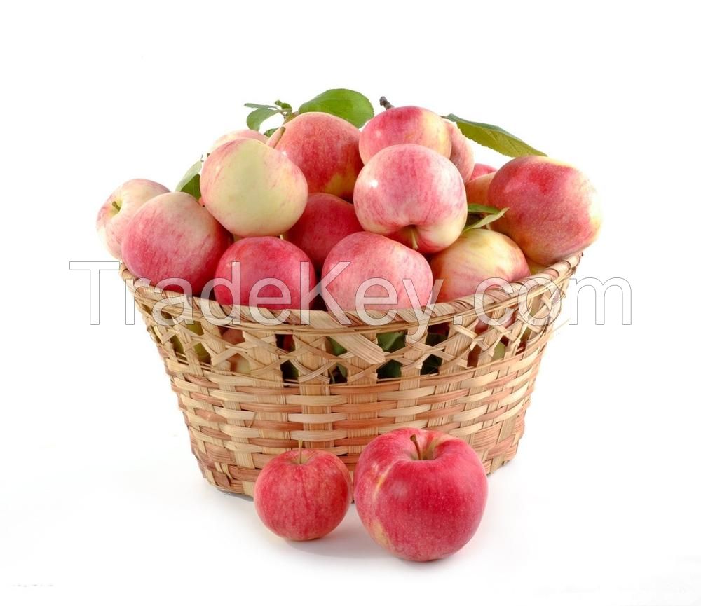 fresh royal fruit gala-apple