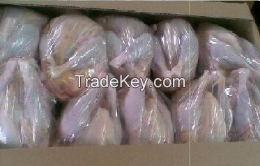 Frozen Whole Chicken for Sale 