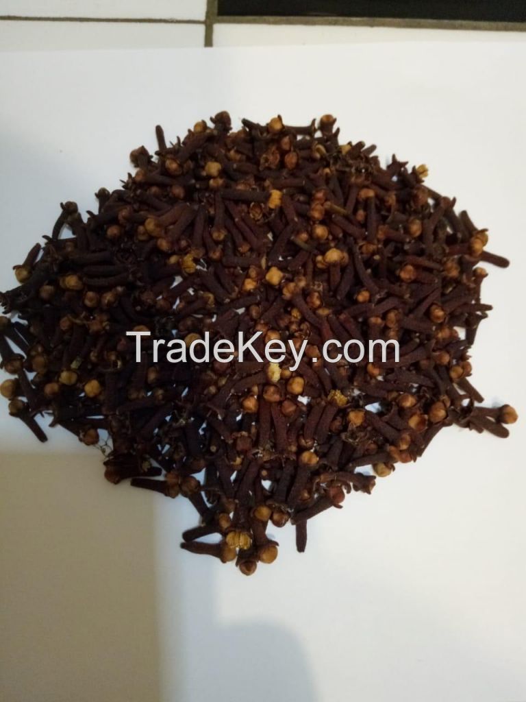 All kind of Indonesian spice commodities 