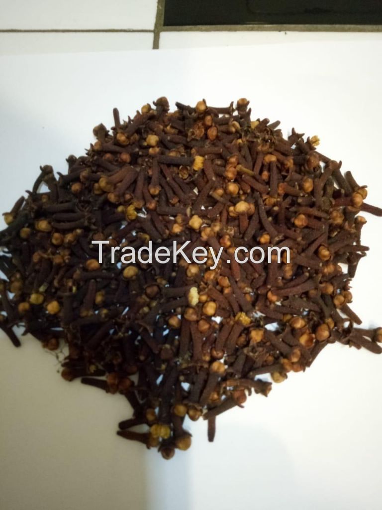 All kind of Indonesian spice commodities 