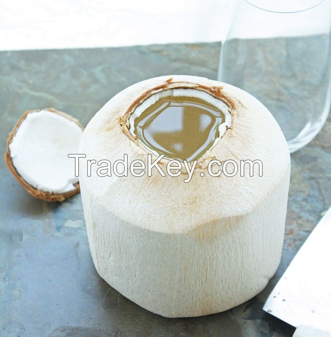 Fresh Young Coconut 