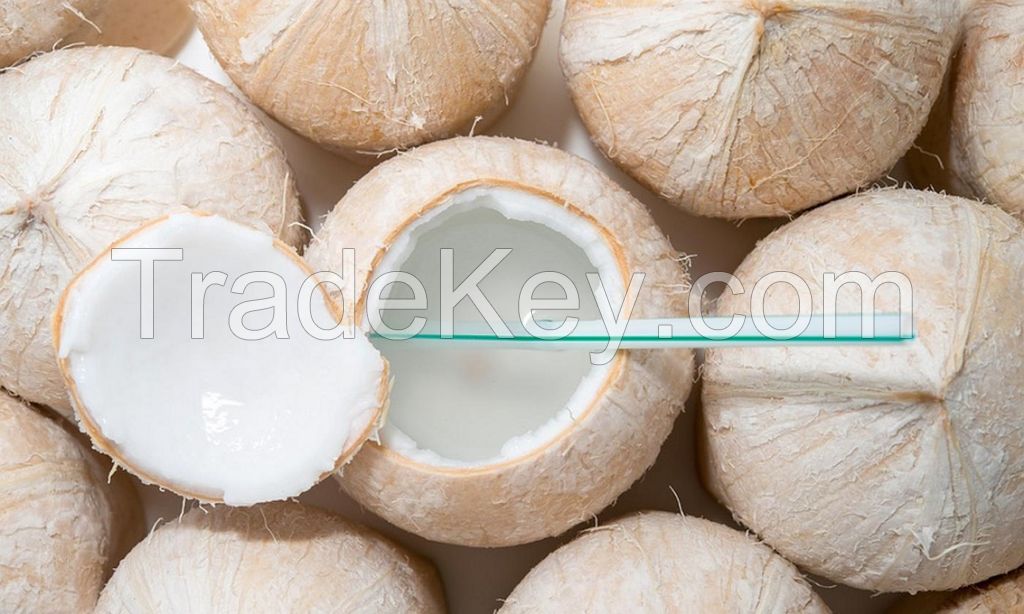 Fresh Young Coconut 
