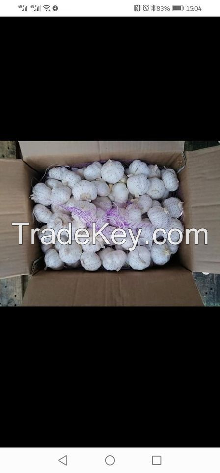 2020 Fresh Normal White Garlic / Red Galic In 10kg/carton With Different Size -hot Sale !!!