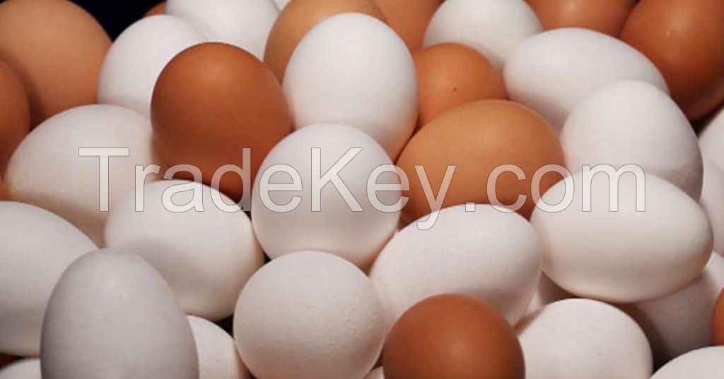 WHITE EGGS FOR SALE