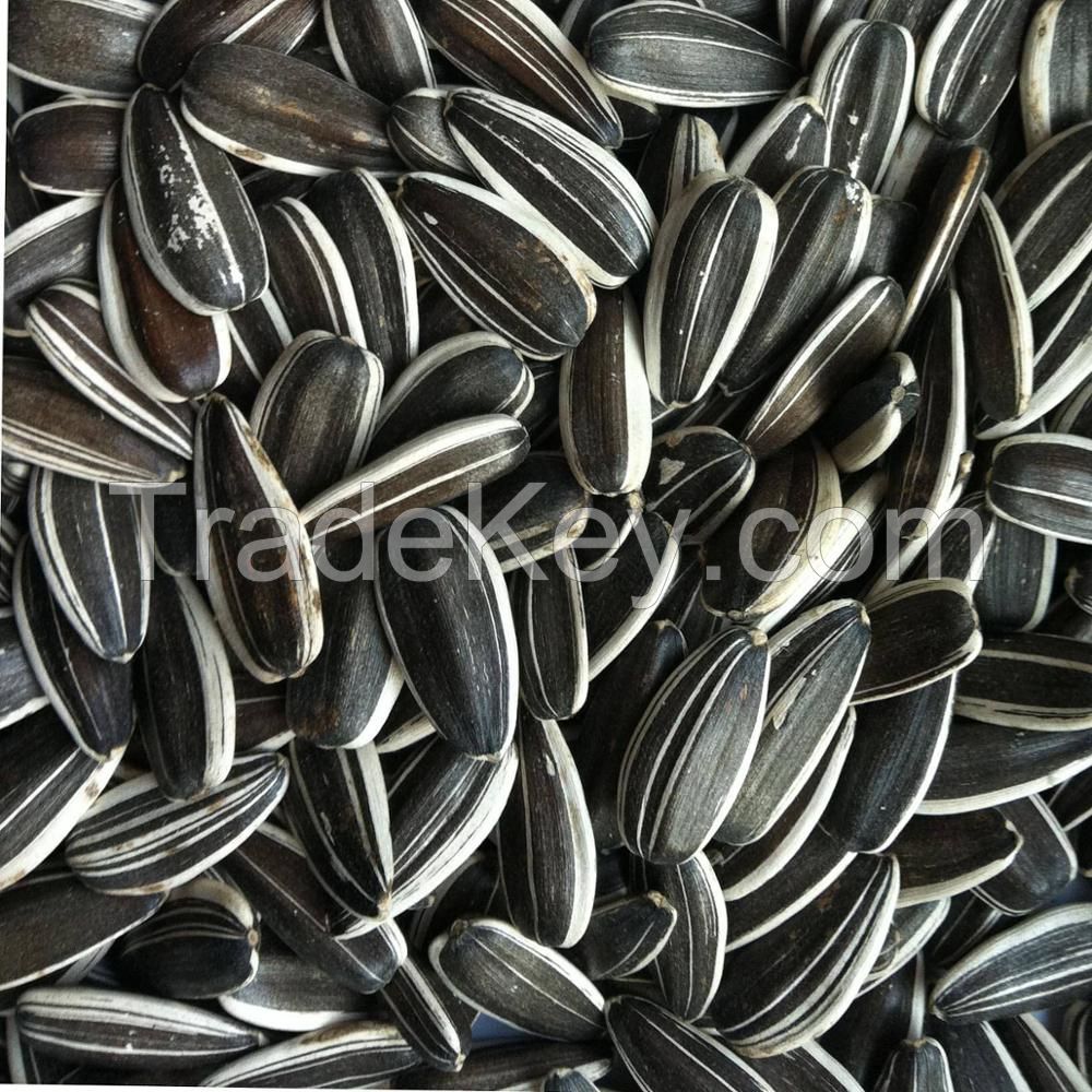 Sunflower Seeds