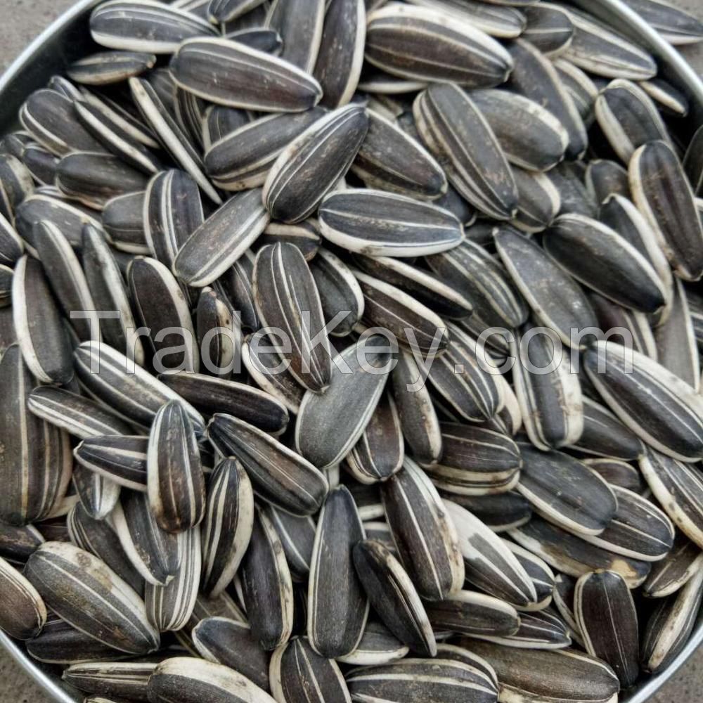 Sunflower Seeds