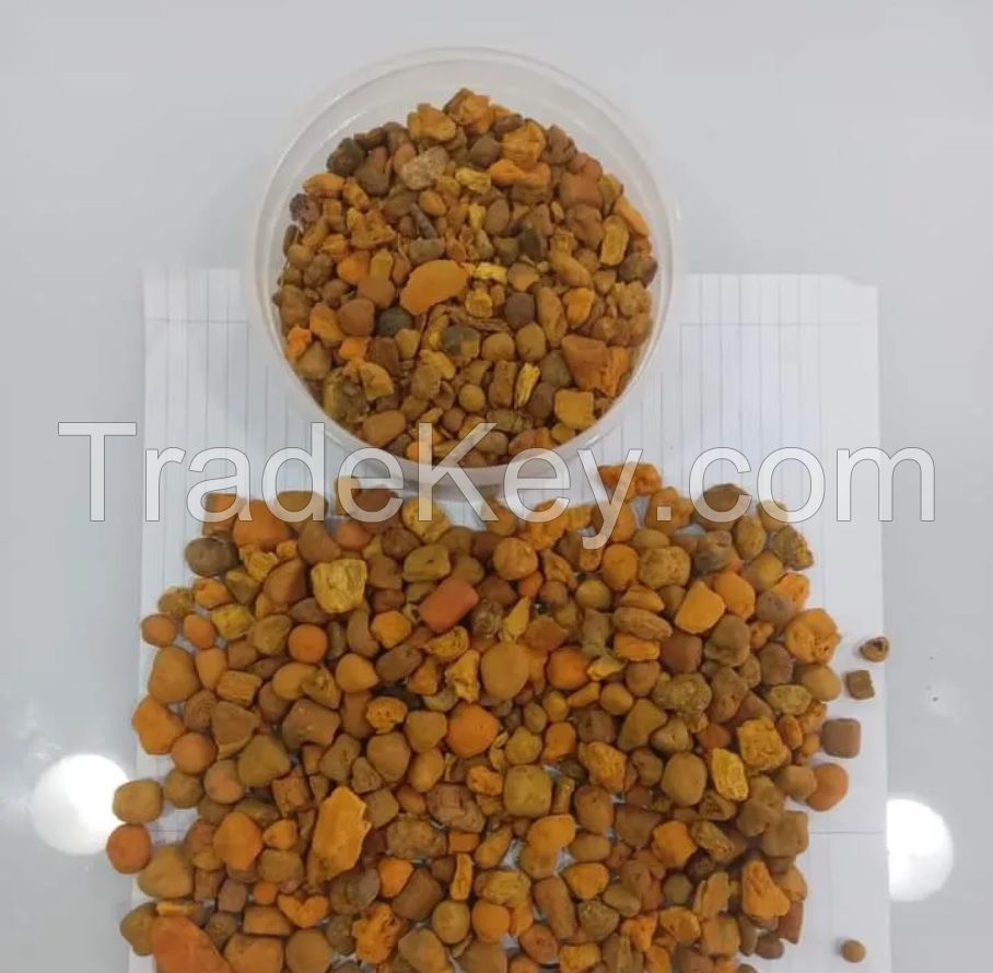 Cattle Gallstones, Cow Gallstones, Ox Gallstones