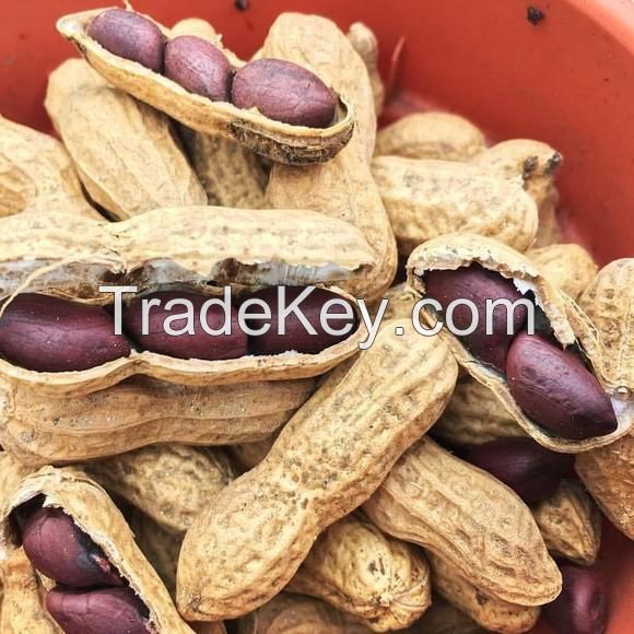 Black Peanuts for sale