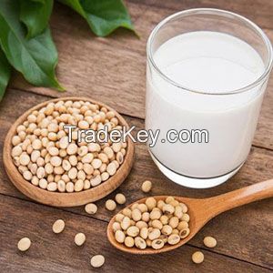 High quality soy bean milk 240ml