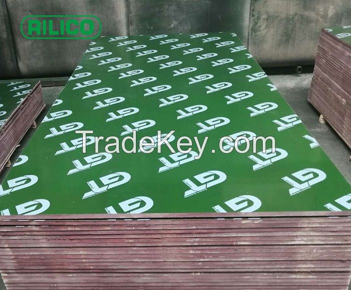 4X8 Green Plywood