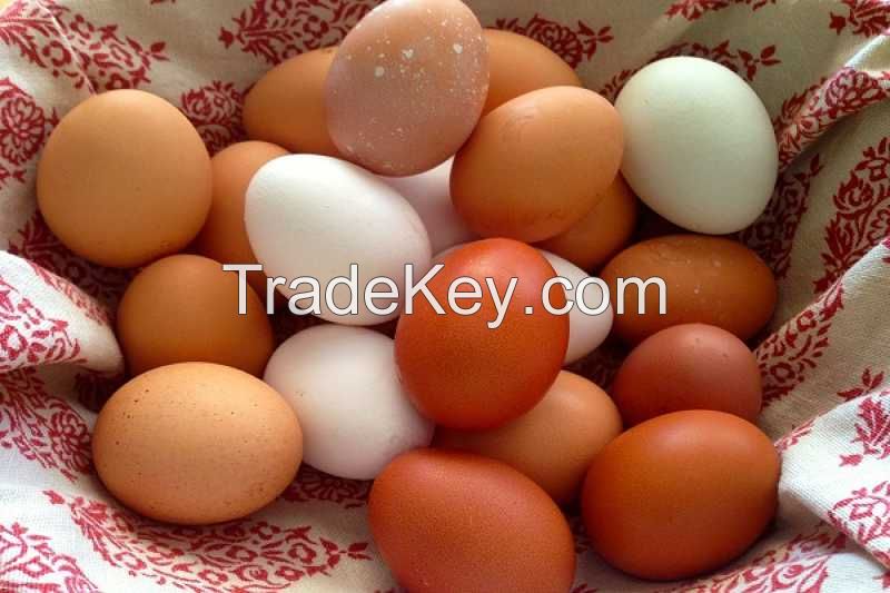 Good quality White & Brown Fresh Chicken Table Eggs