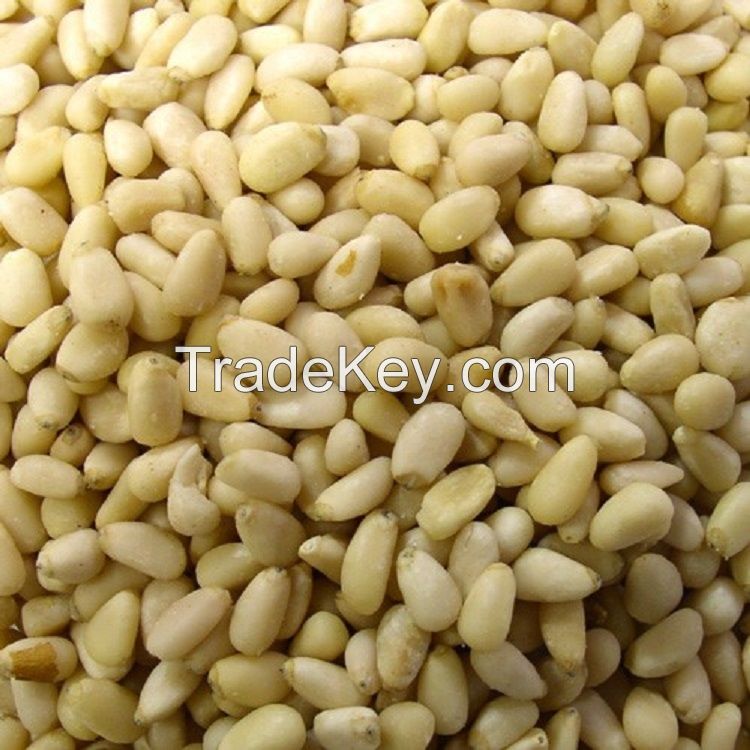 Organic cheap bulk open pine nut/pine seed/pine nuts in shell