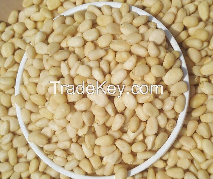 Chinese Siberia quality bulk blanched raw pine nut kernels