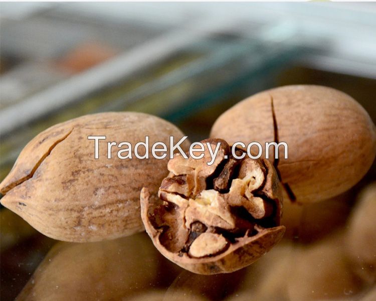 raw/roasted baked salted pecan nuts with shell