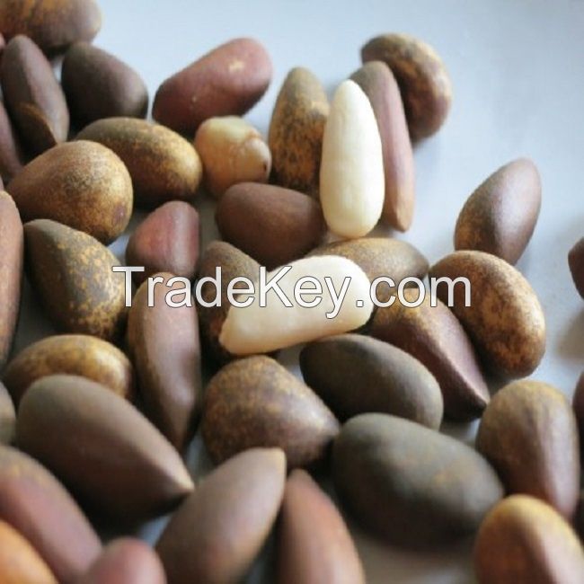 Chinese Siberia quality bulk blanched raw pine nut kernels