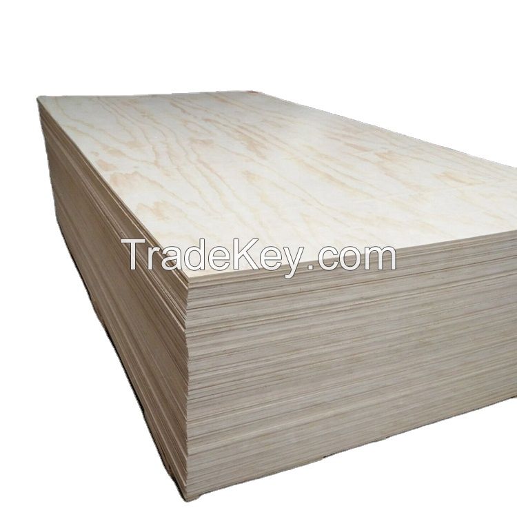 Beech Wood Logs and Lumber/Oak Wood Logs