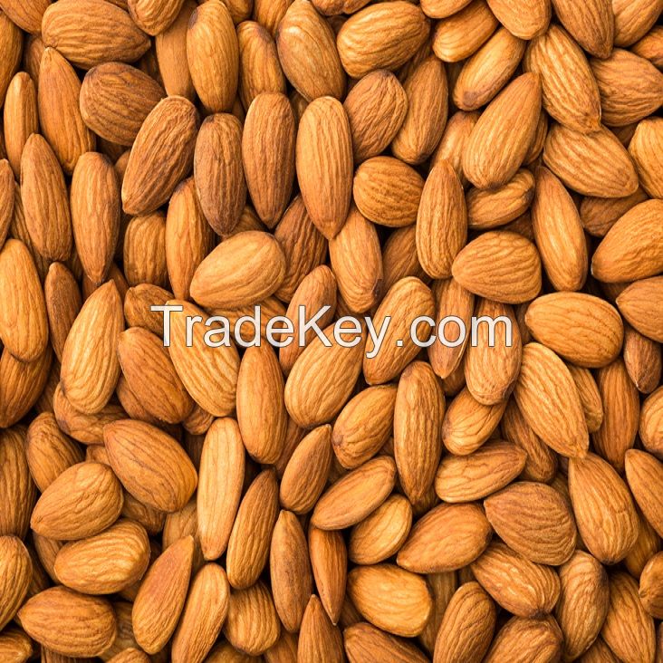 Factory price almonds in bulk good quality snack raw badam almond price nuts supplier