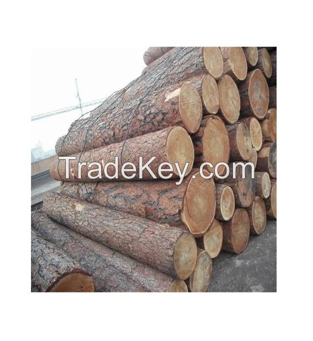 Cheap Timber Logs Teak Wood / Oak Wood Logs / Pine Wood Logs