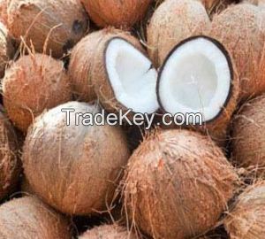 Natural Fresh Coconut for wholesale from South Africa