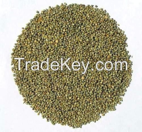 Green Millet Bajra/ Millet Bajra Seeds Dried Millet ,Hulled Red Millet,Yellow White