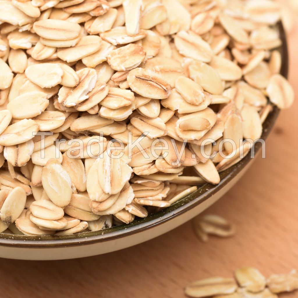 Russian Wholesale Organic Oats Grain