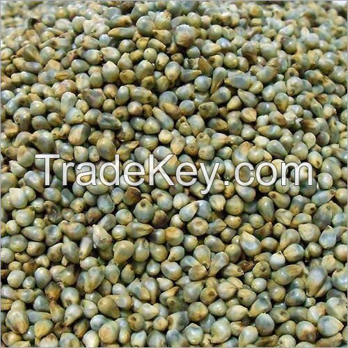 100% Organic Green Millet Bajra At Cheap Factory Price Best Selling Millet