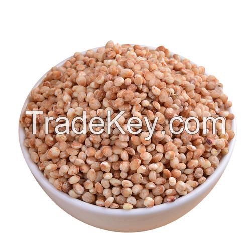 White fresh quality Sorghum Seeds for sale