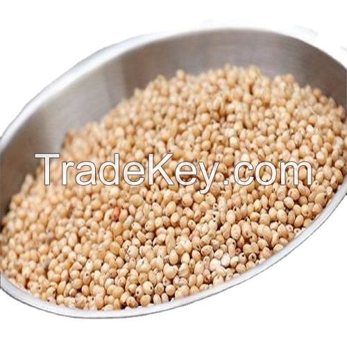 Best Quality White Sorghum Bulk Red Sorghum For Sale