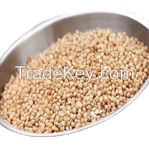 High quality bulk sorghum grains for sale