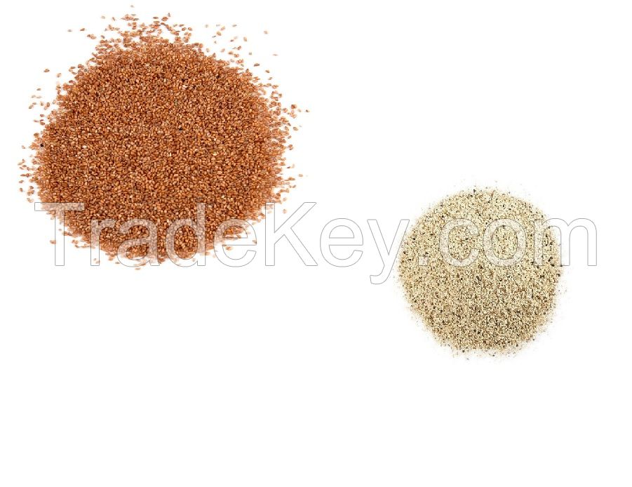 White Soft and Hard Wheat Grains for Sale