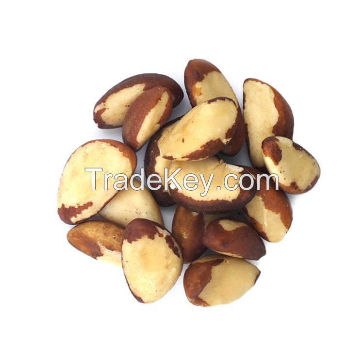 Top quality Brazil nuts (Bertholletia excelsa)