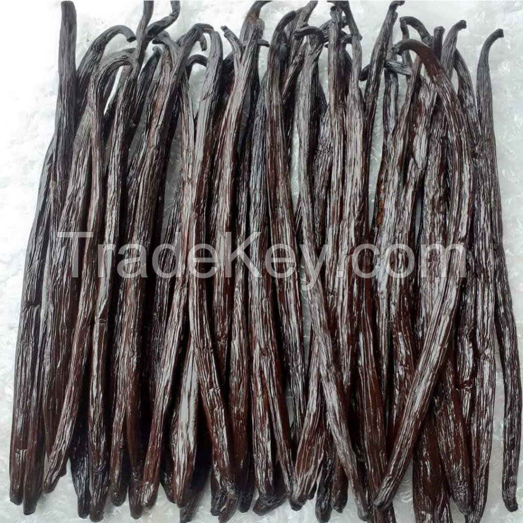 Vanilla beans Tahitensis