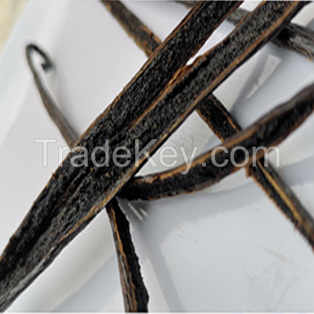 Vanilla beans Tahitensis