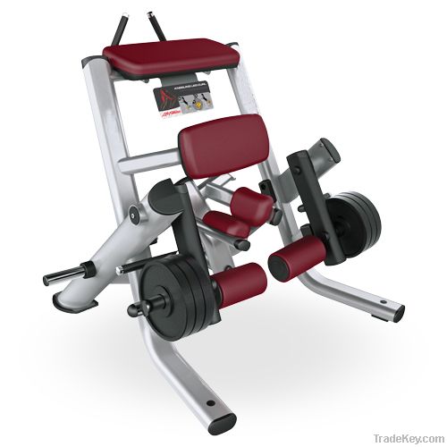 Lifefitness / Gym Equipment / Kneeling leg curl