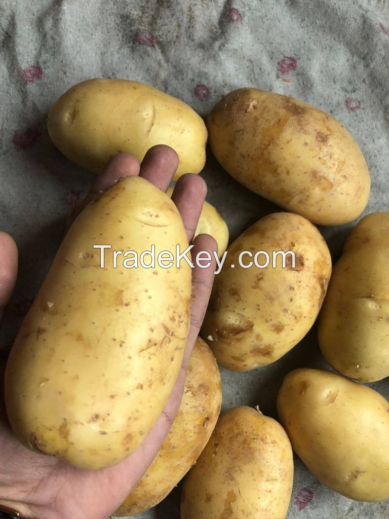 PREMIUM QUALITY POTATOES