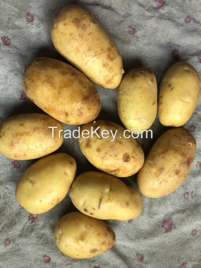 PREMIUM QUALITY POTATOES