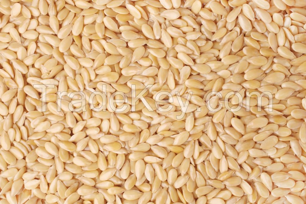 Sesame seeds White