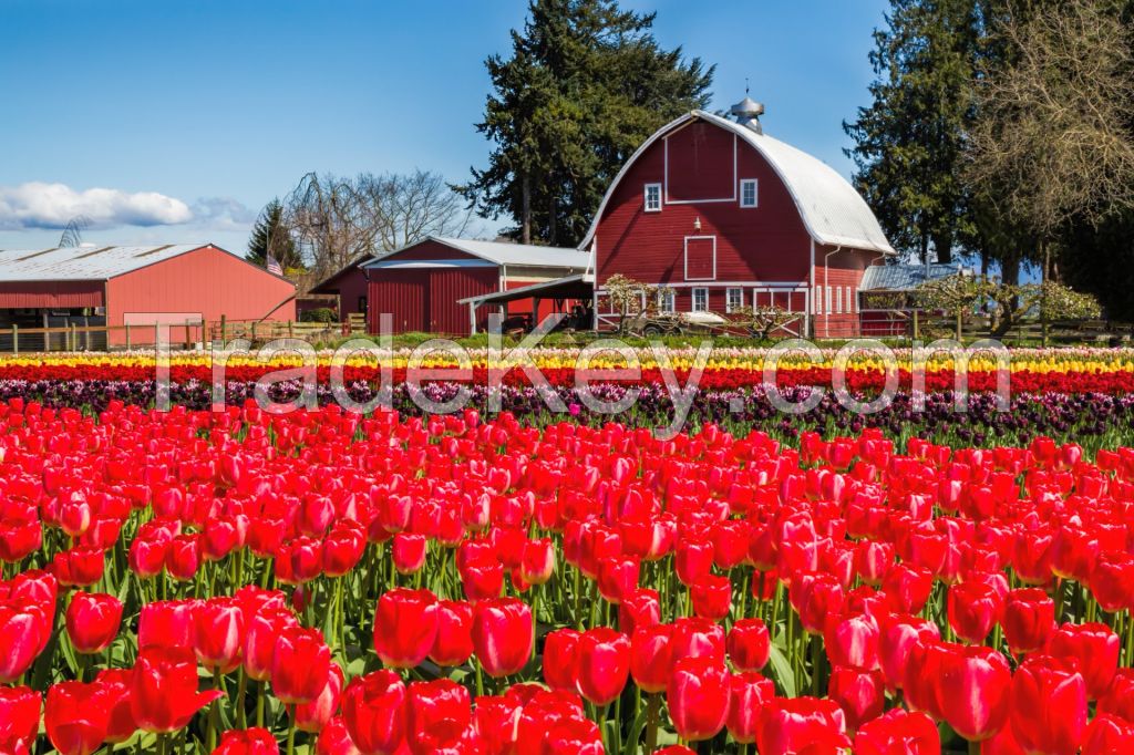 New Homes for Sale in Bozeman Mt 