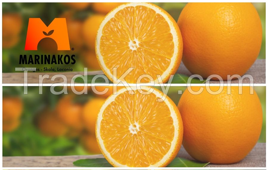 Oranges Fresh from Greece