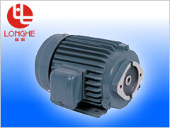 YT Series oil pumps exclusive motors