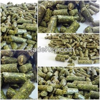 Quality Alfafa Hay For Animal Feeding Stuff Alfalfa / Timothy / Alfalfa Hay For Sale Quality Alfafa Hay For Animal Feeding Stuff Alfalfa / Timothy / Alfalfa Hay For Sale