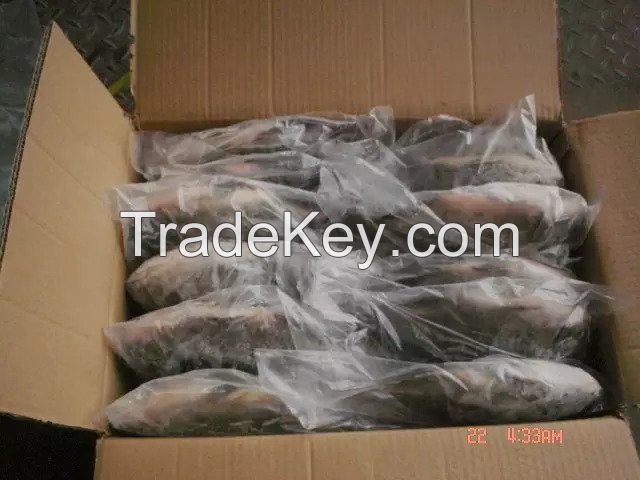 Fresh Black Tilapia and Mackerel Fish for sale