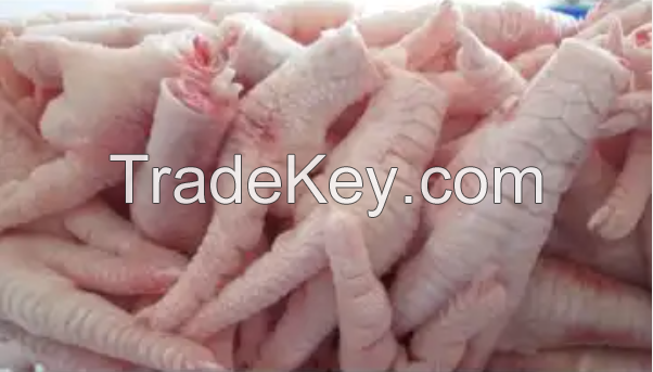 European best grade FROZEN CHICKEN PAWS AND FROZEN CHICKEN FEET