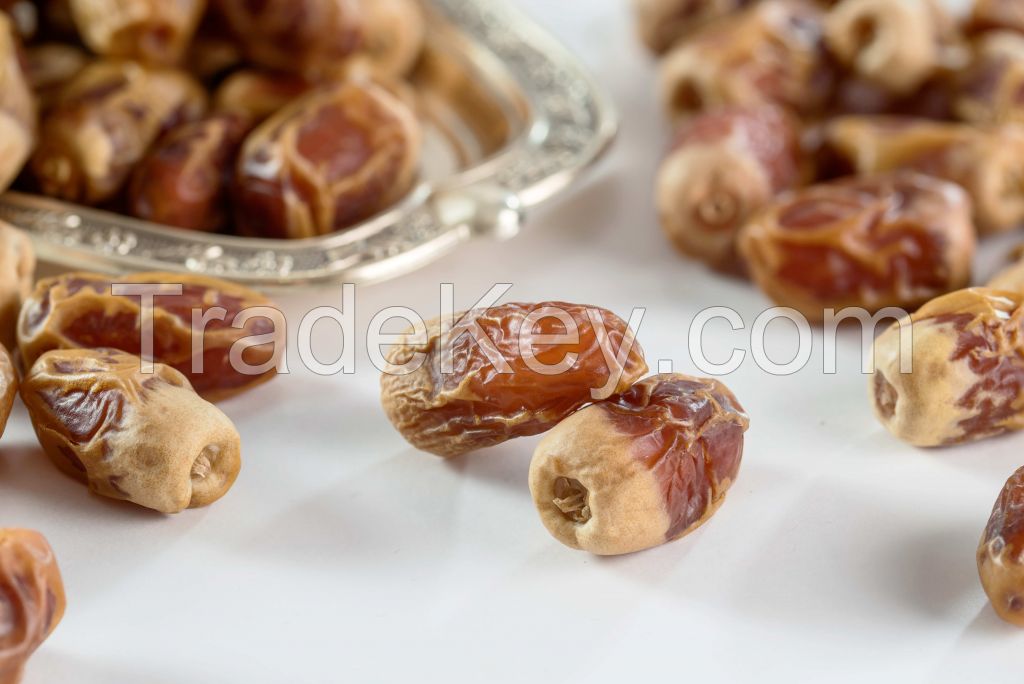 SAGAI dates