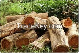 Rosewood - Timber, furniture wood and boards